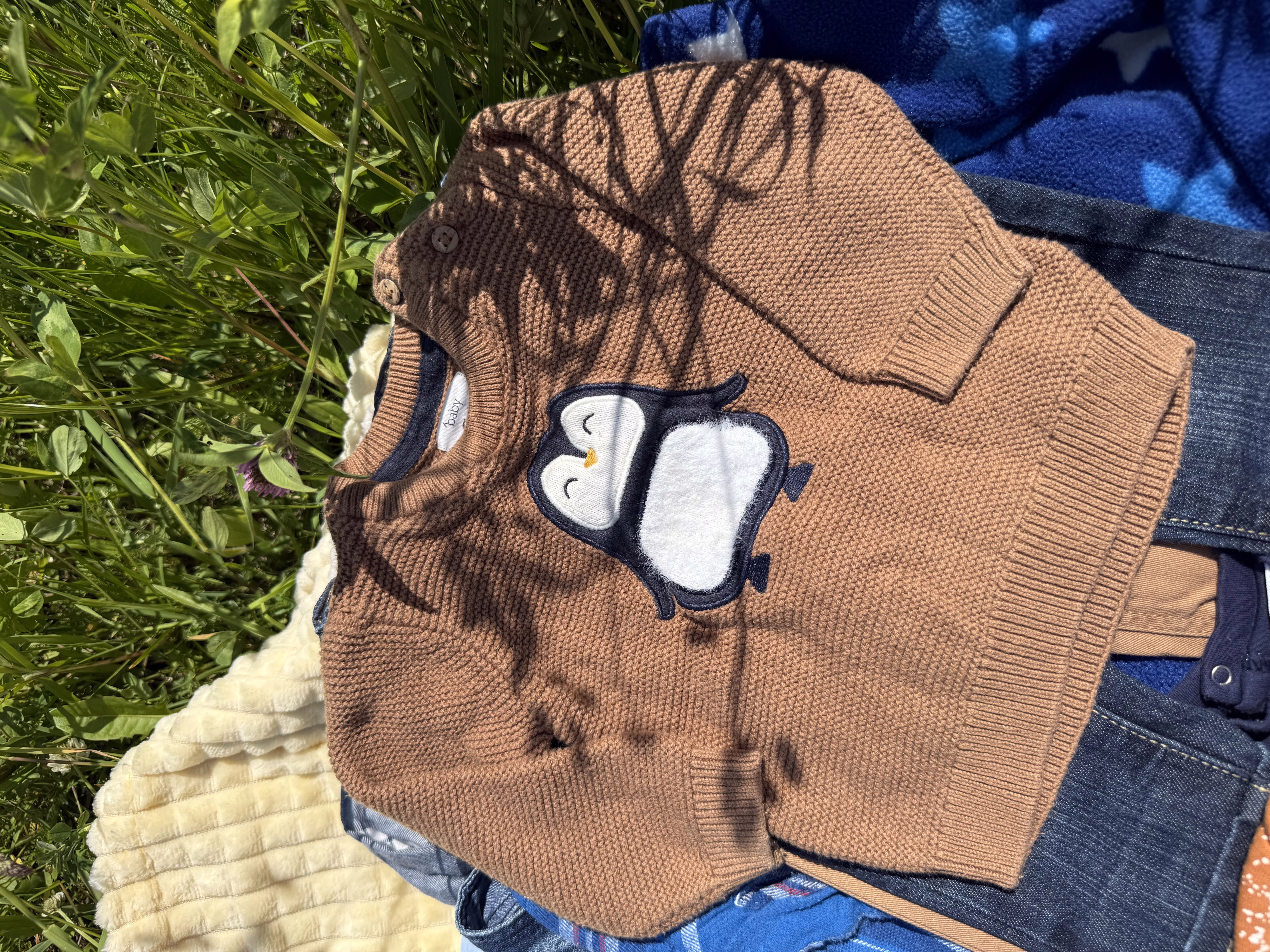 Одежда